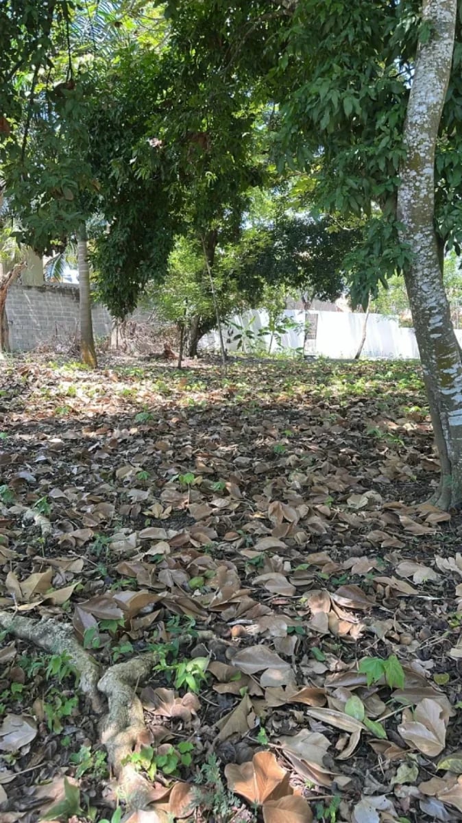 Terreno en Santo Domingo Norte – foto 2