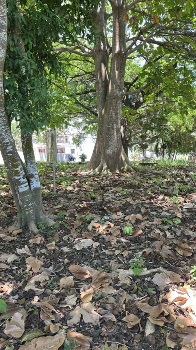 Terreno en Santo Domingo Norte – foto 4