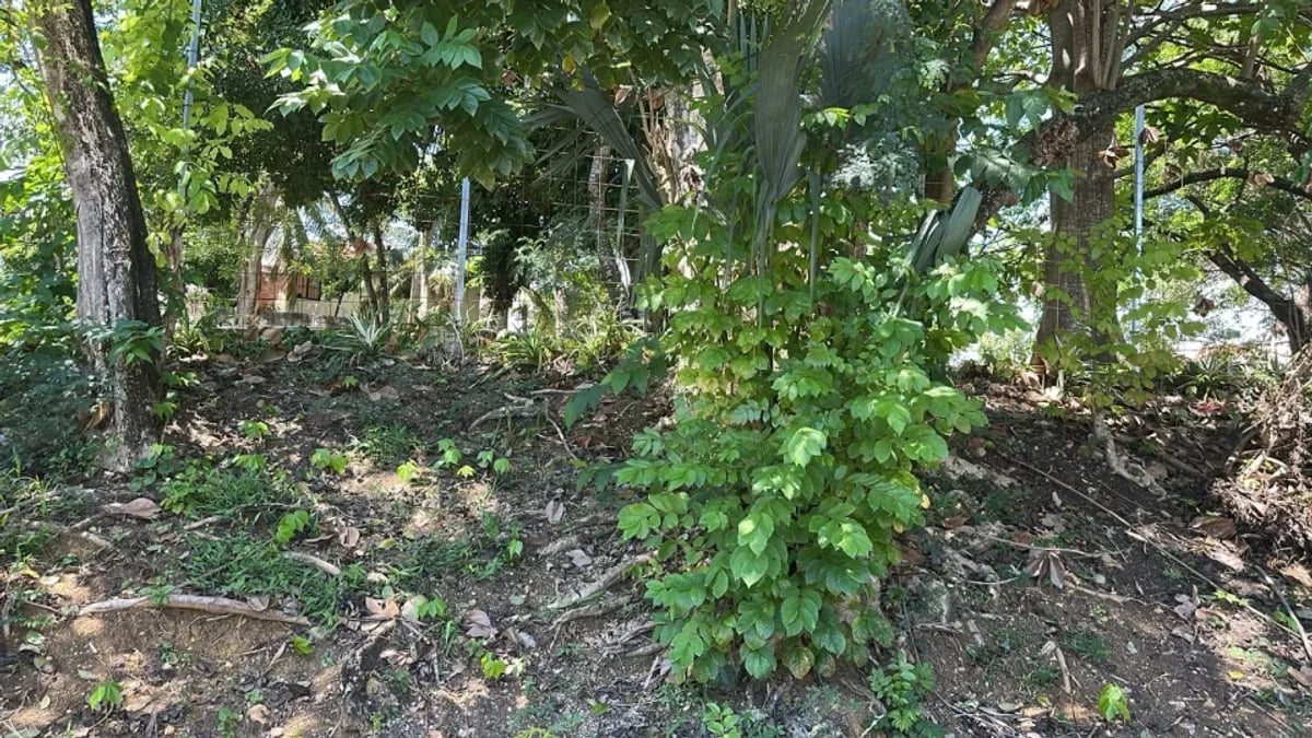 Terreno en Santo Domingo Norte – foto 1