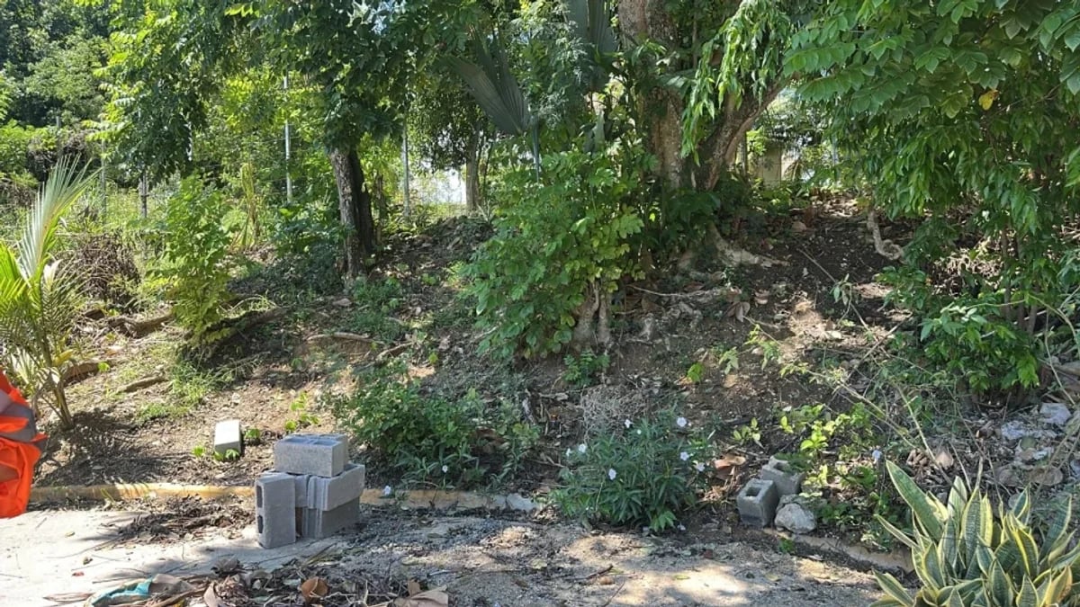 Terreno en Santo Domingo Norte – foto 3