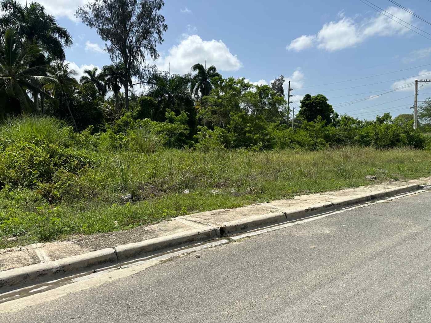 Terreno para nave , almacén en Santo Domingo Oeste – foto 2