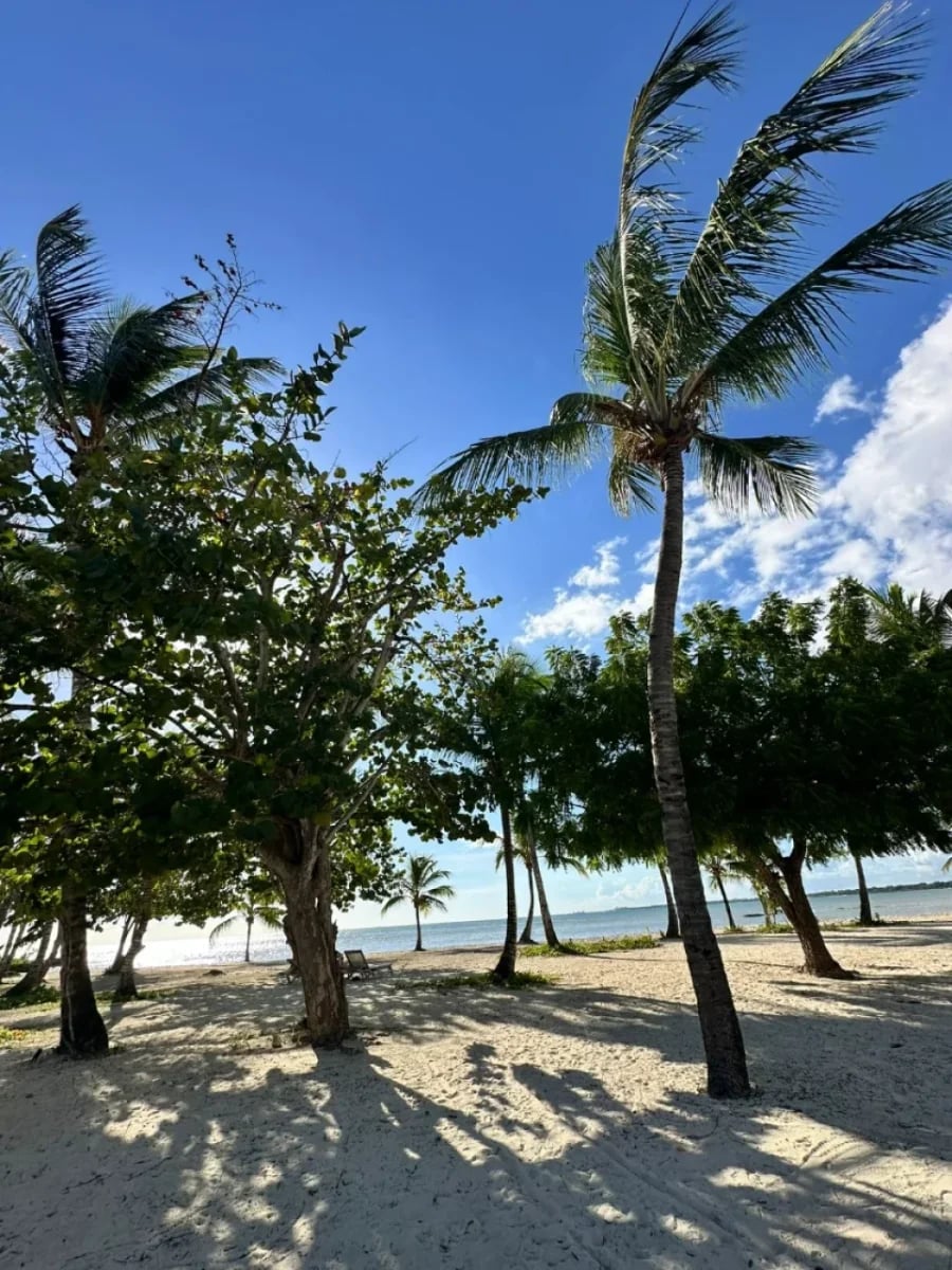 Apartamento en Primera Línea de Playa – foto 5