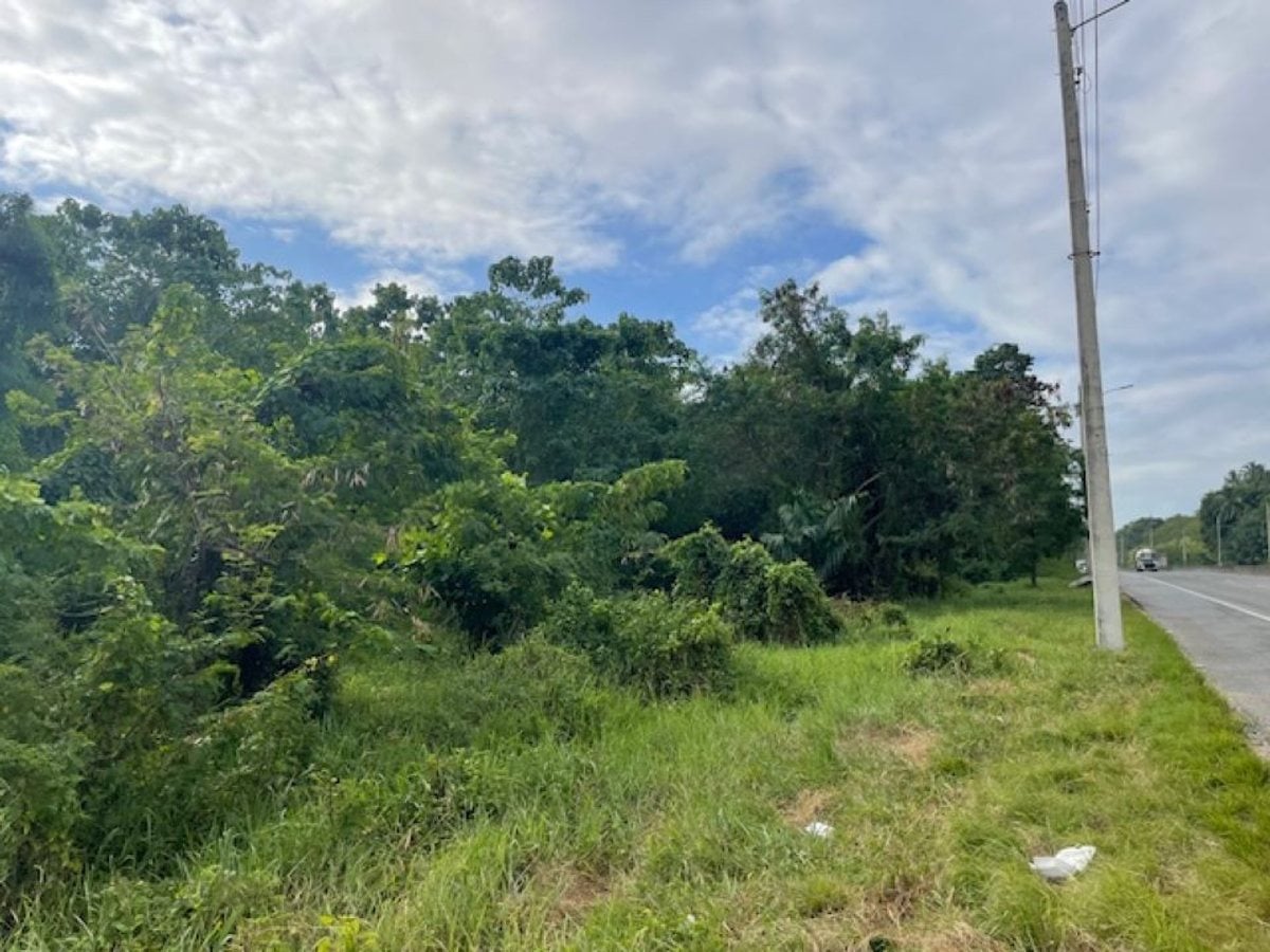 Terreno en El Pedregal, Avenida Circunvalación – foto 2