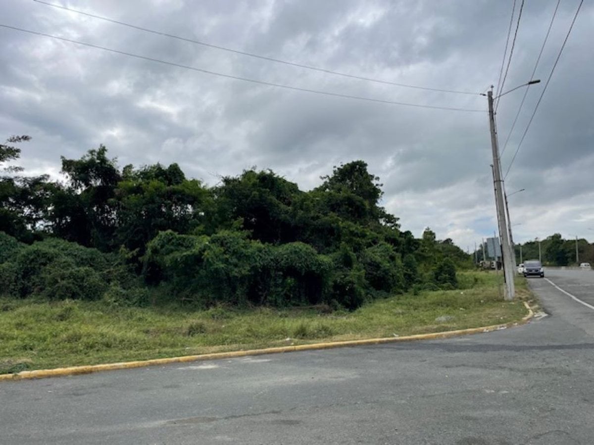 Terreno en El Pedregal, Avenida Circunvalación – foto 3