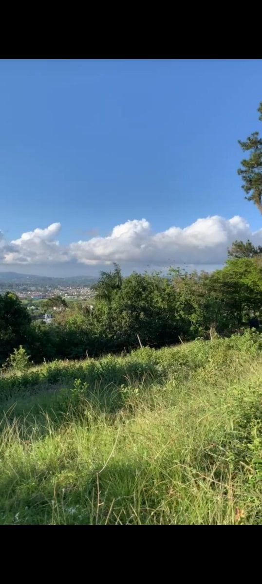 Terreno Jarabacoa – foto 2