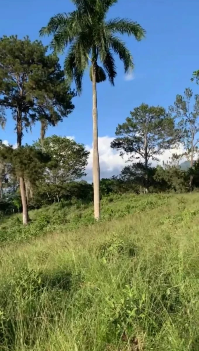 Terreno Jarabacoa – foto 3