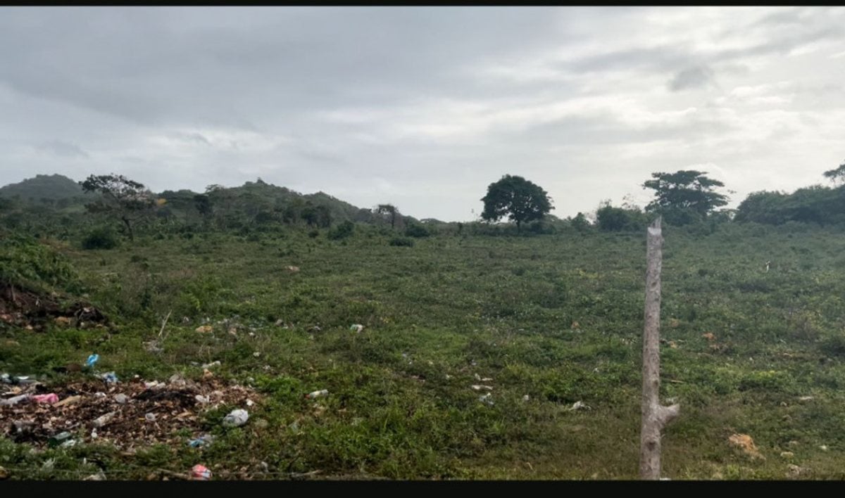 Terreno en Las Galeras, Samaná – foto 3
