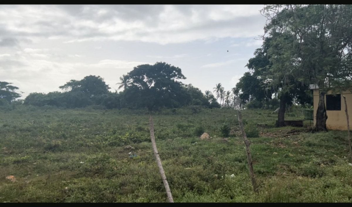 Terreno en Las Galeras, Samaná – foto 1