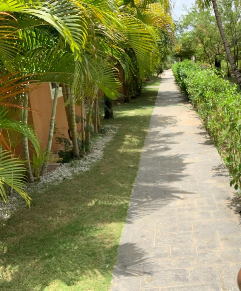 Caribbean Life Apto I-301 – foto 3