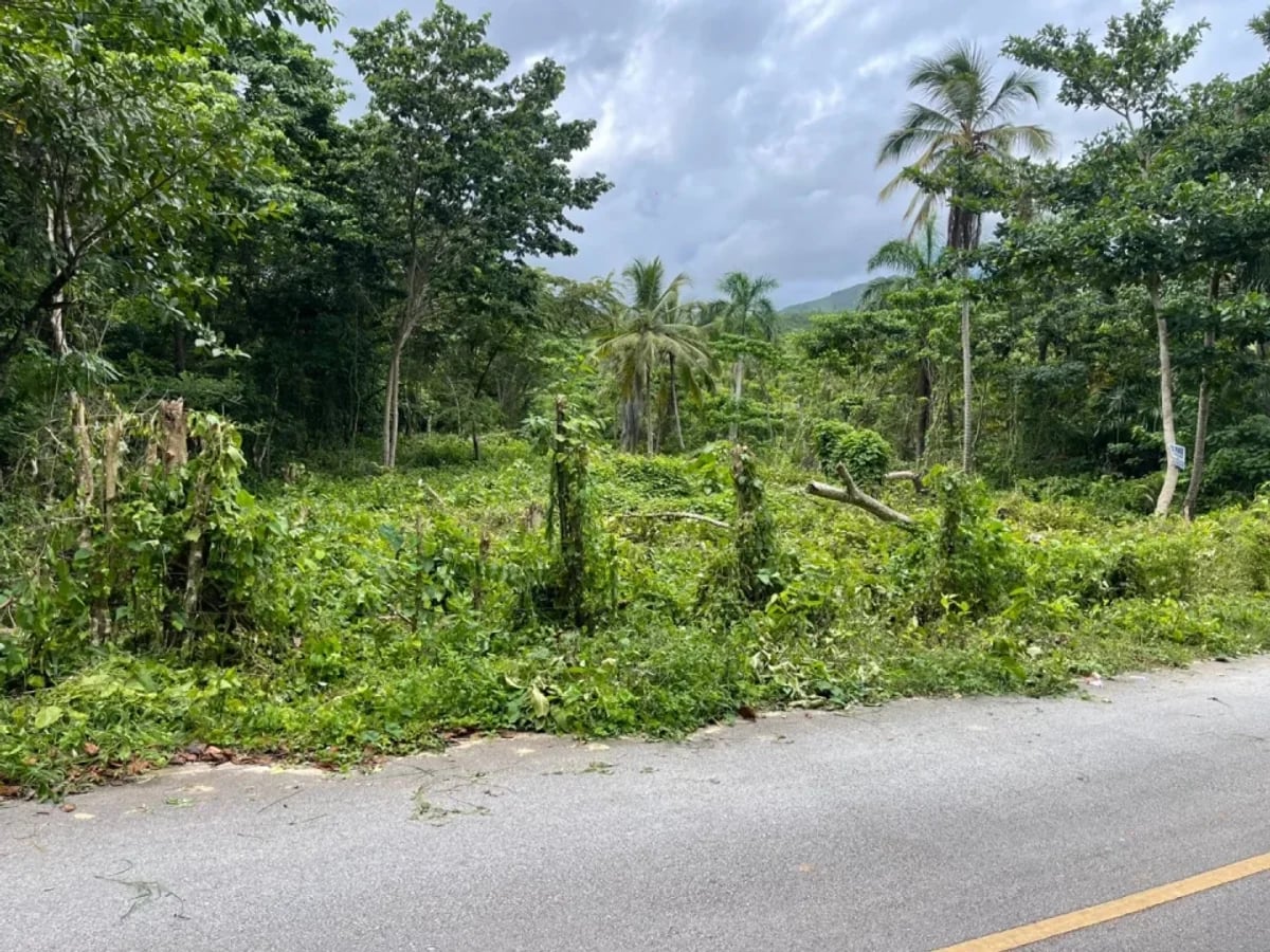 Venta de terreno cerca de playa Rincon en Samana – foto 1