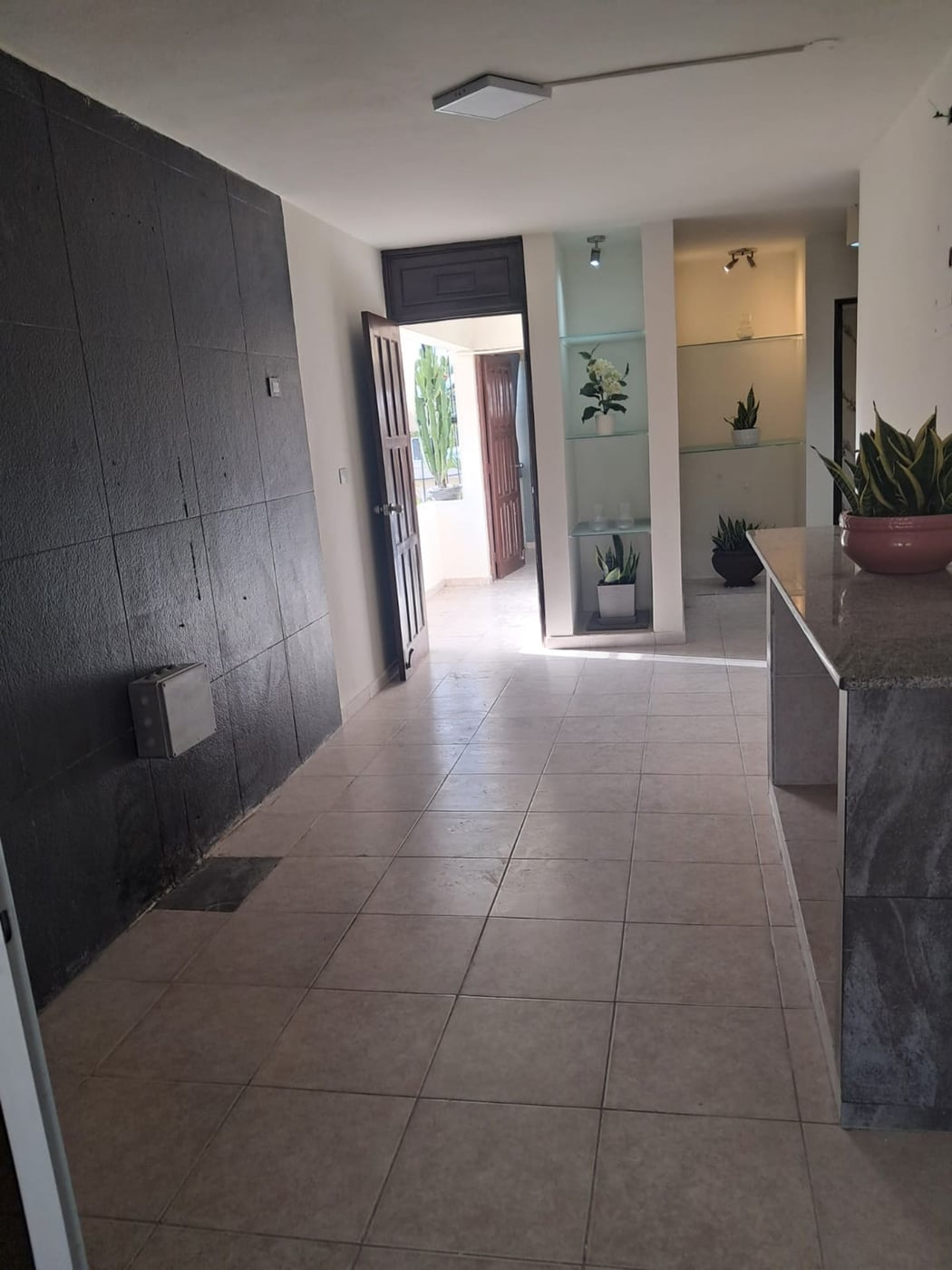 Local Comercial en Alquiler – Excelente Ubicación – foto 10