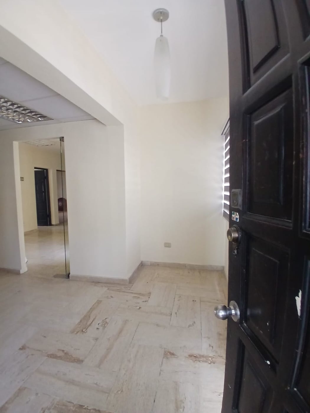 LOCAL COMERCIAL EN VENTA 151 M² EVARISTO MORALES – foto 2