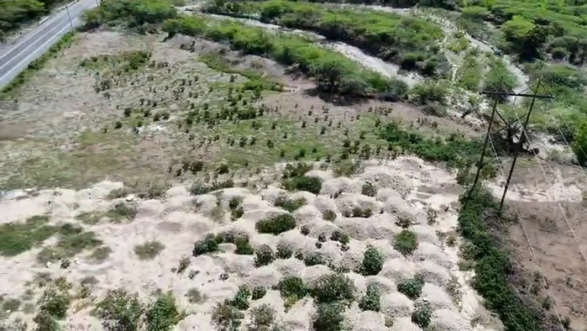 Terreno Comercial Estratégico – foto 2