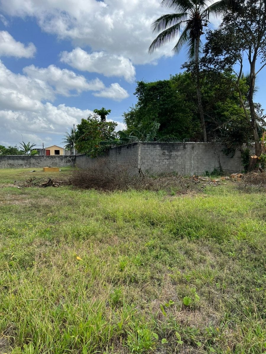 Terreno en Alquiler en Boca de Juma, Bonao – foto 2