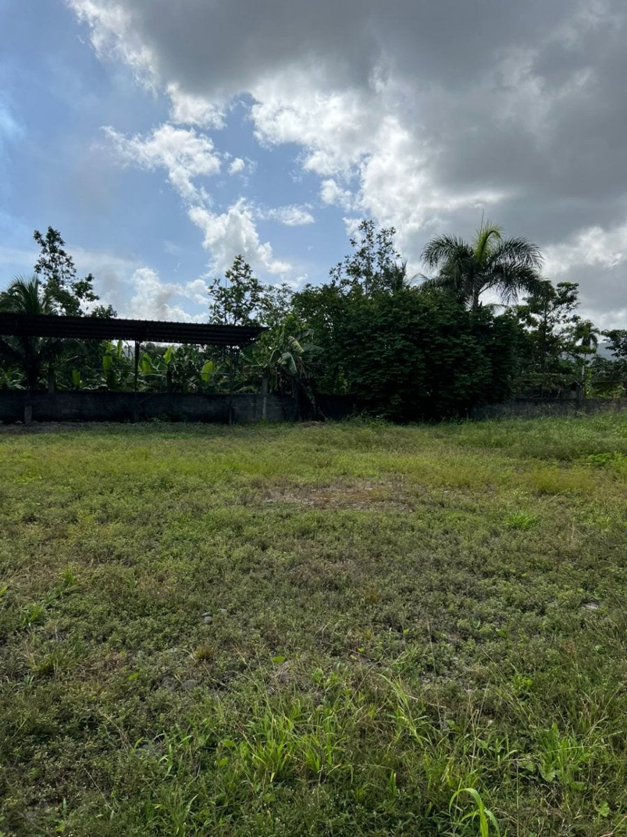 Terreno en Alquiler en Boca de Juma, Bonao – foto 3