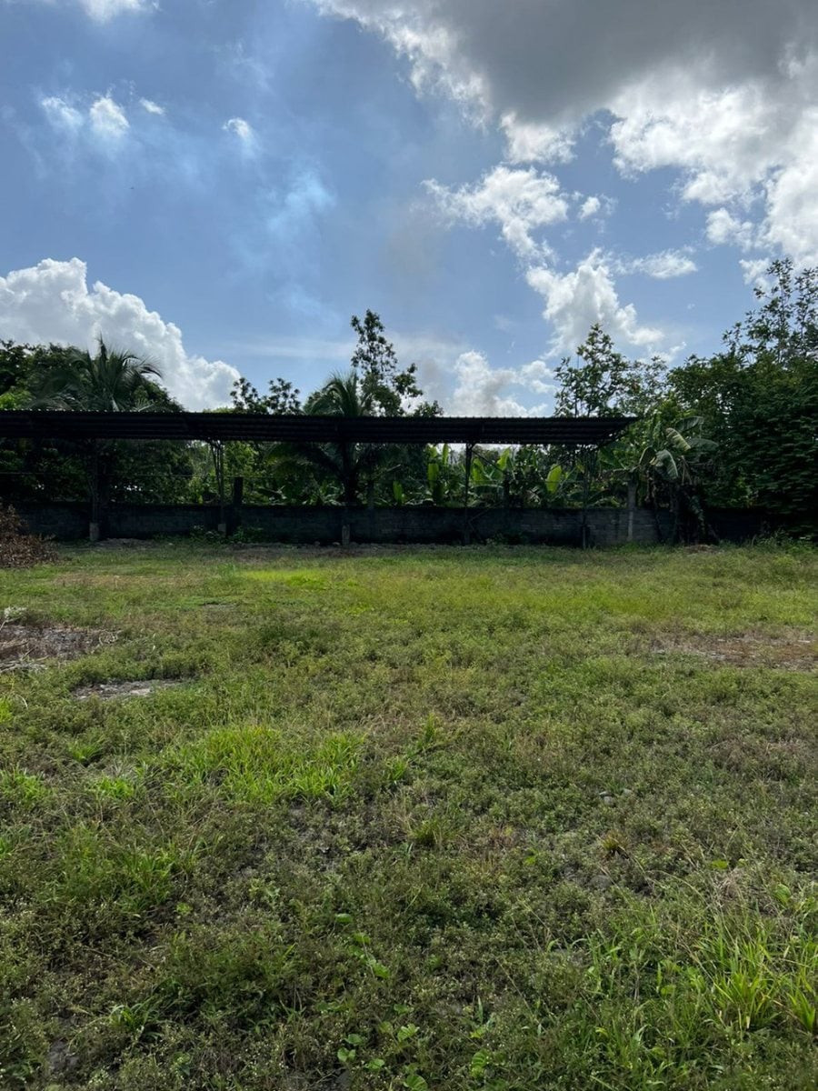 Terreno en Alquiler en Boca de Juma, Bonao – foto 4