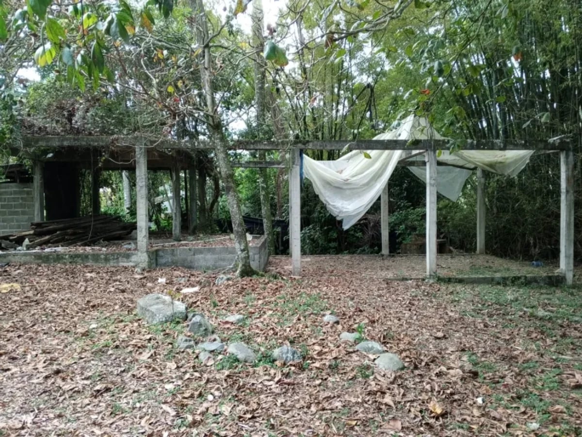 TERRENO EN VENTA MANABAO, JARABACOA – foto 7