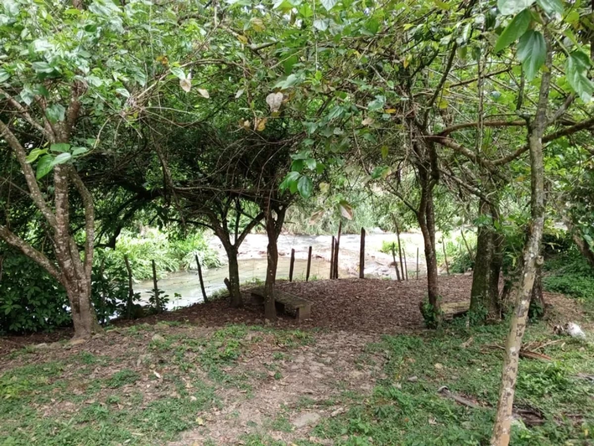 TERRENO EN VENTA MANABAO, JARABACOA – foto 6