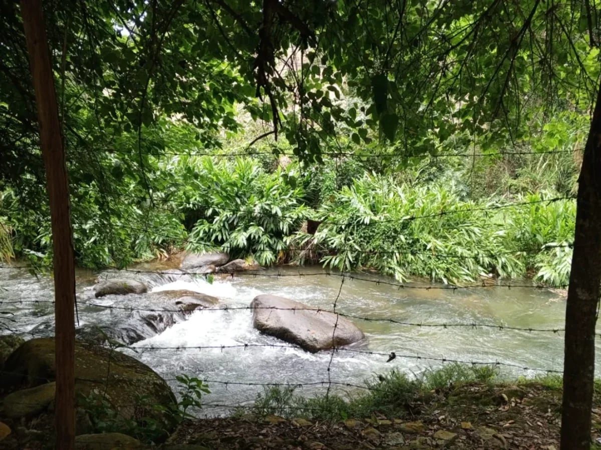 TERRENO EN VENTA MANABAO, JARABACOA – foto 1