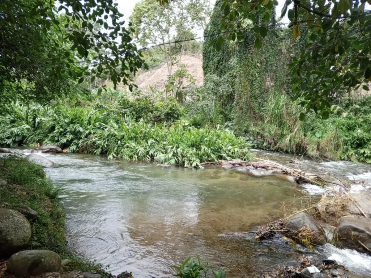 TERRENO EN VENTA MANABAO, JARABACOA – foto 2