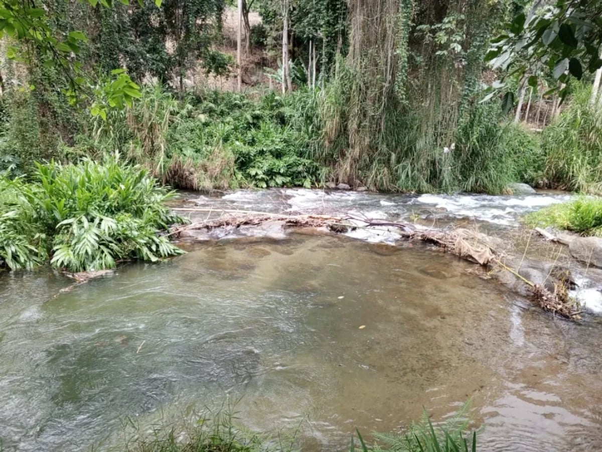 TERRENO EN VENTA MANABAO, JARABACOA – foto 5
