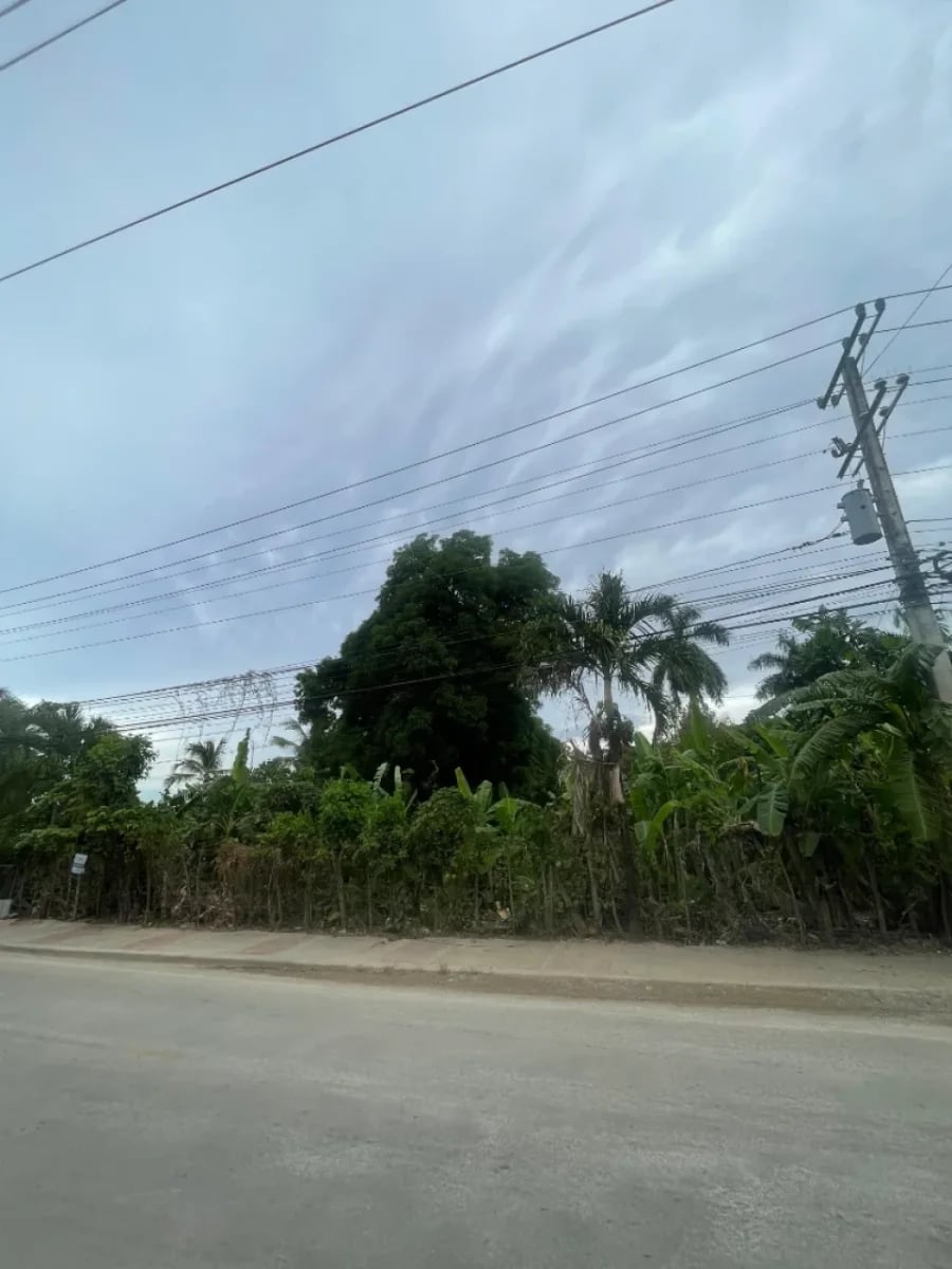 Terreno en el Centro de Samaná Las Terrenas – foto 2