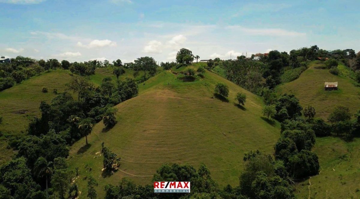 FINCA 33 tareas Presa De Tavera la Jina – foto 1