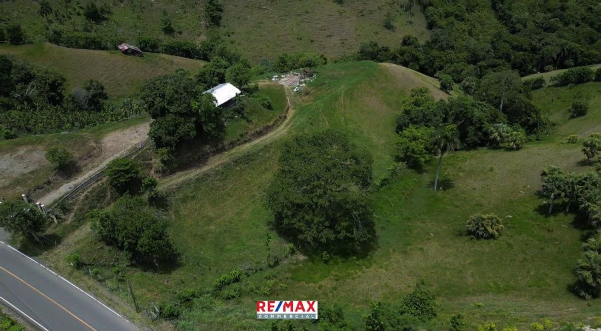 FINCA 33 tareas Presa De Tavera la Jina – foto 6