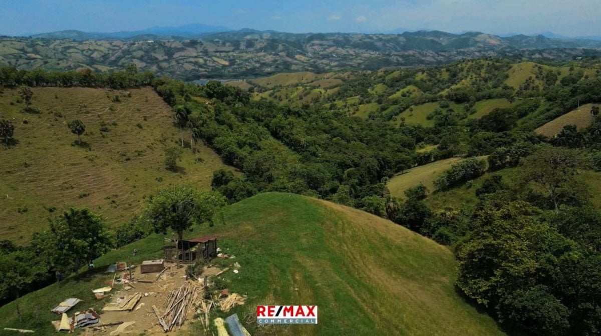 FINCA 33 tareas Presa De Tavera la Jina – foto 4