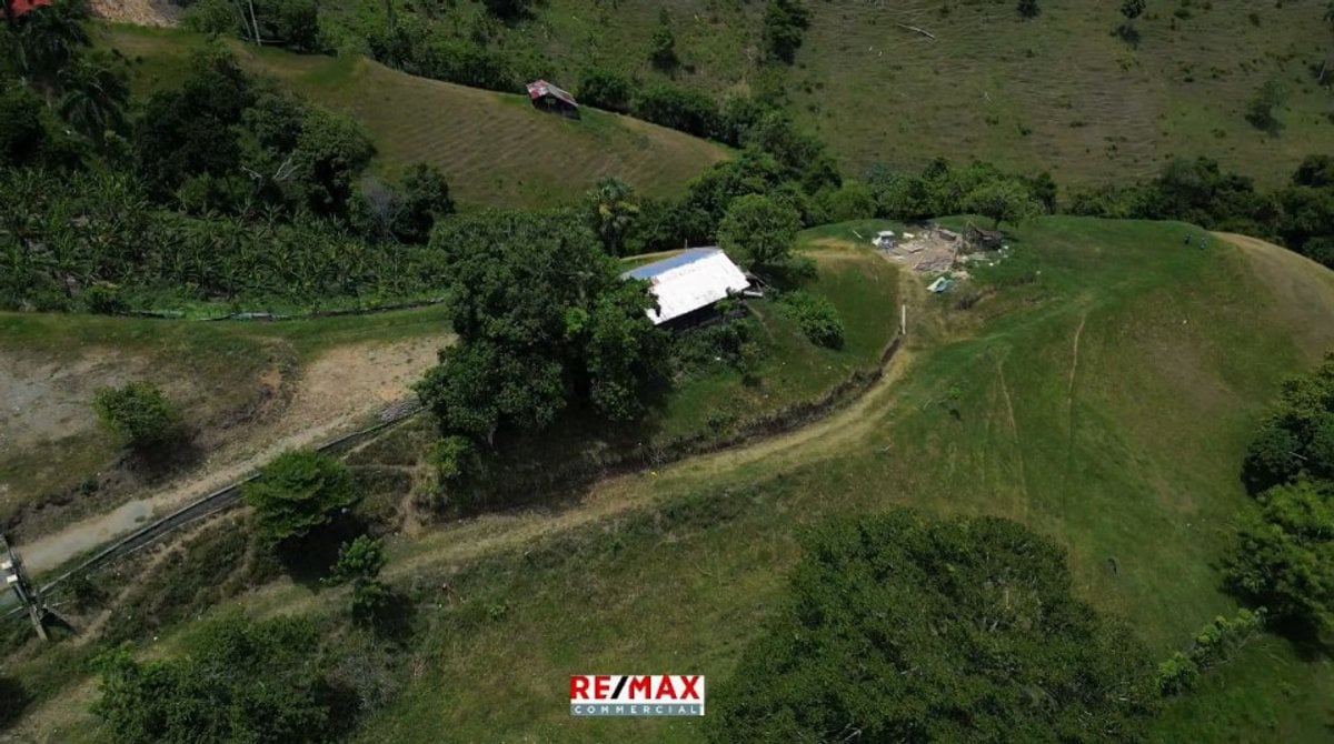 FINCA 33 tareas Presa De Tavera la Jina – foto 2