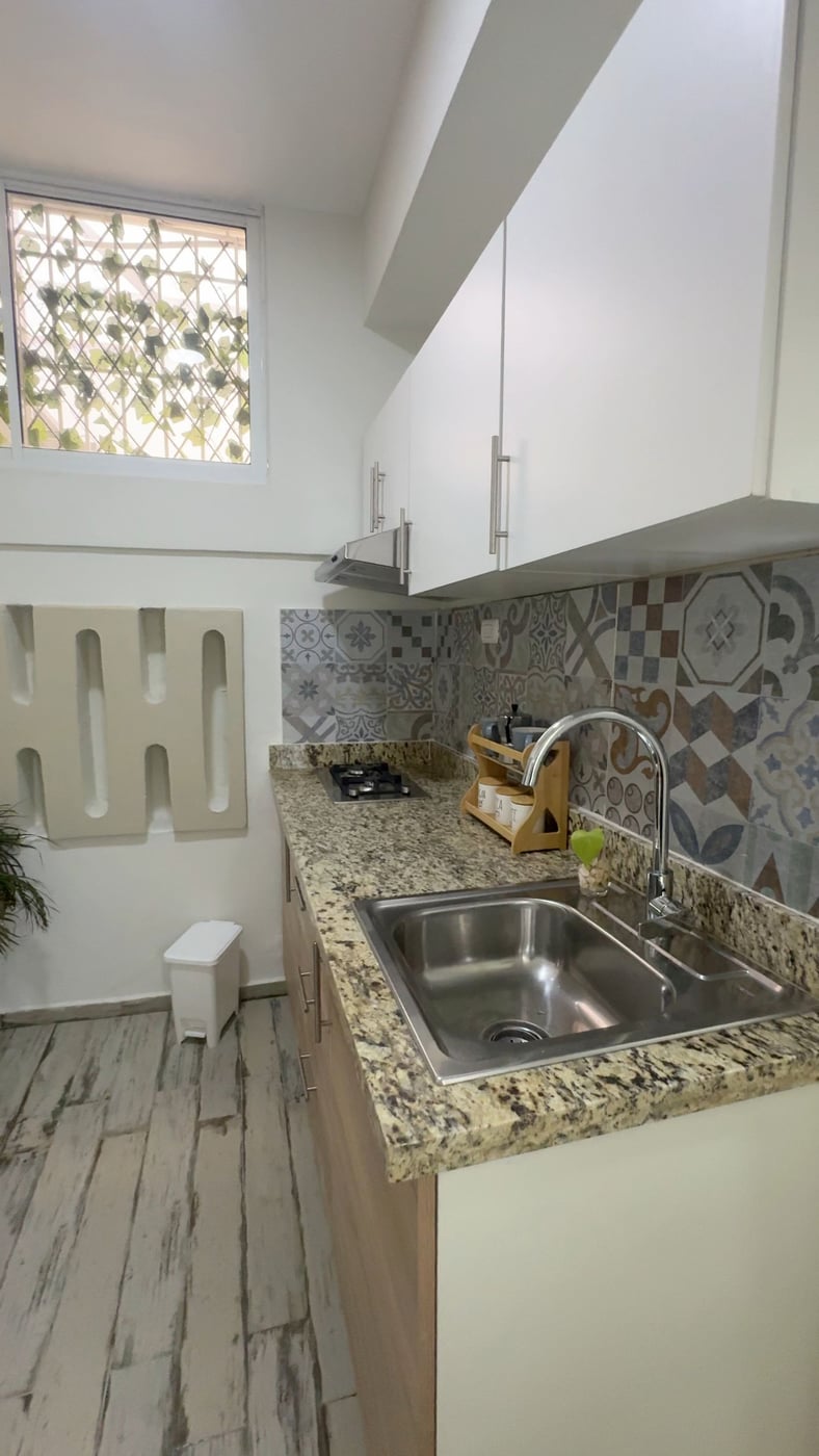 Apartamento amueblado 1 habitacion zona Colonial – foto 4