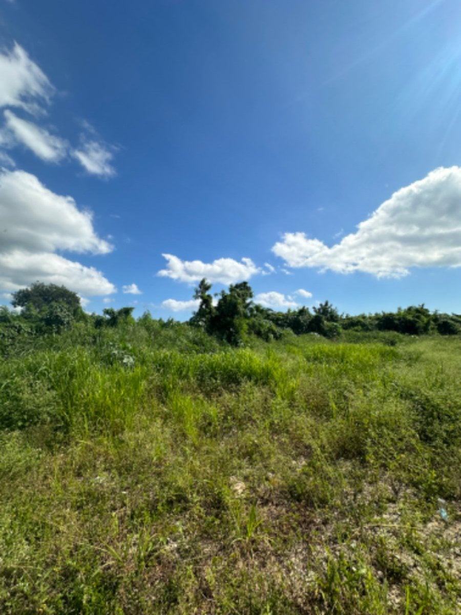 Terreno en Metro Country Club, San Pedro – foto 1
