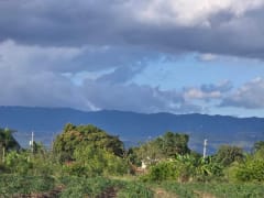Terreno en Puñal, venta – foto 4