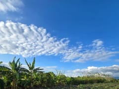 Terreno en Puñal, venta – foto 2