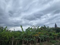 Terreno en Puñal, venta – foto 10
