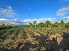 Terreno en Puñal, venta – foto 1