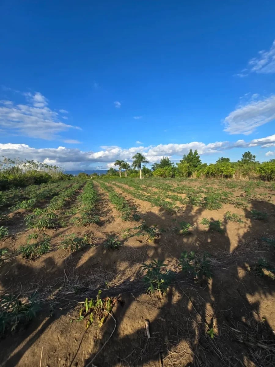 Terreno en Puñal, venta – foto 1