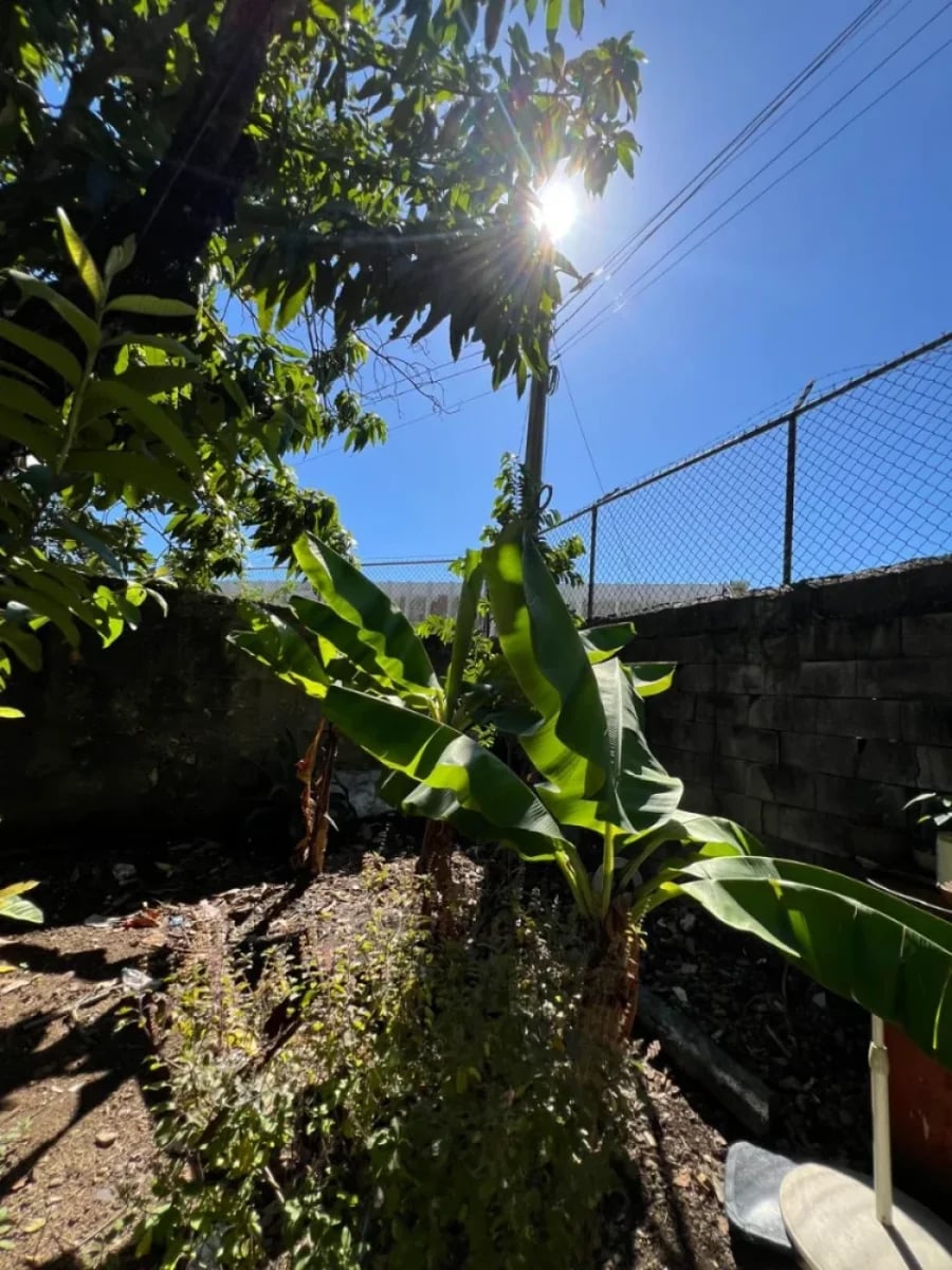Casa/solar en venta en La Cancha, Itabo – foto 11