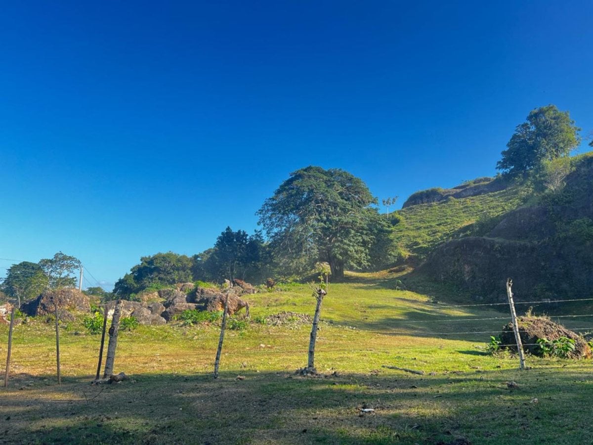 Terreno en Sabana de la Mar, Caño Hondo – foto 5