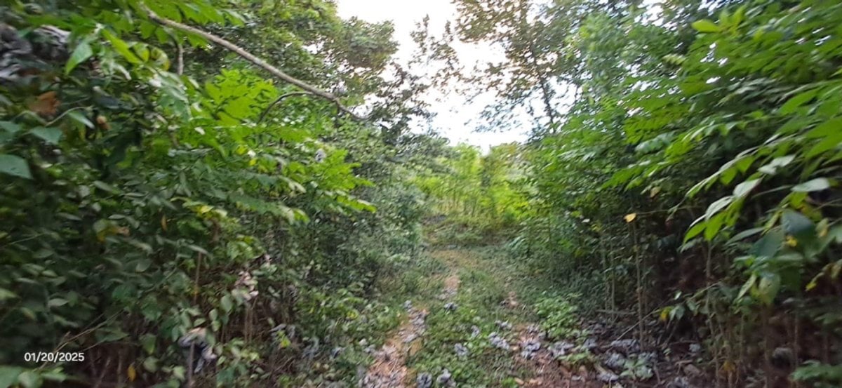 SOLAR DE OPORTUNIDAD EN EL HIGUERO – foto 4