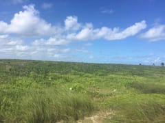 Terreno en venta en Punta Cana, Higüey – foto 5