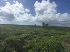 Terreno en venta en Punta Cana, Higüey – foto 3