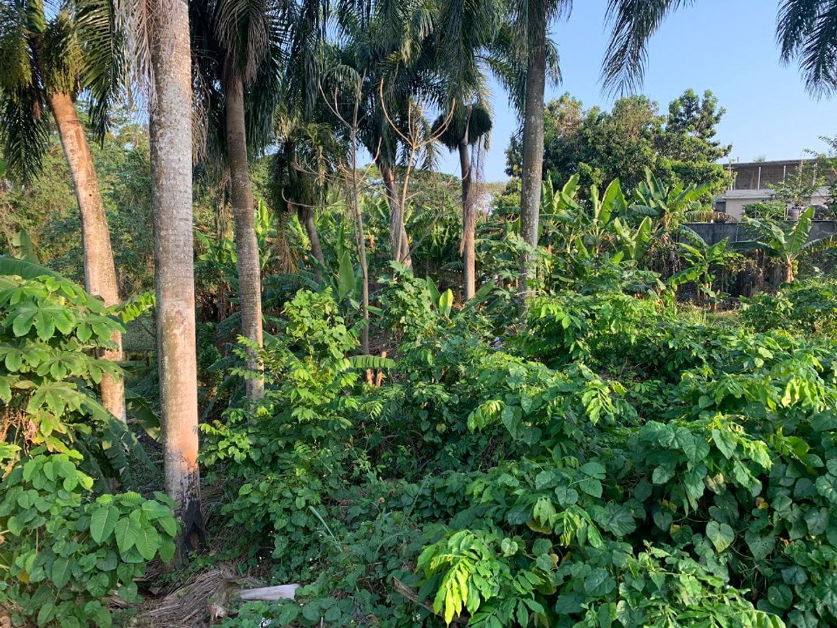 Terreno En Las Flores, Santo Domingo Norte – foto 1