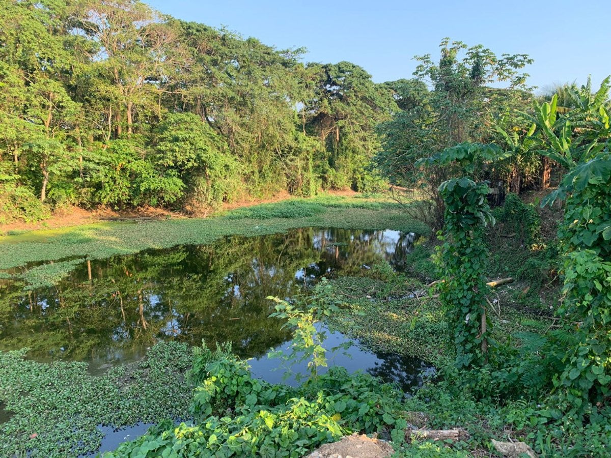 Terreno En Las Flores, Santo Domingo Norte – foto 3