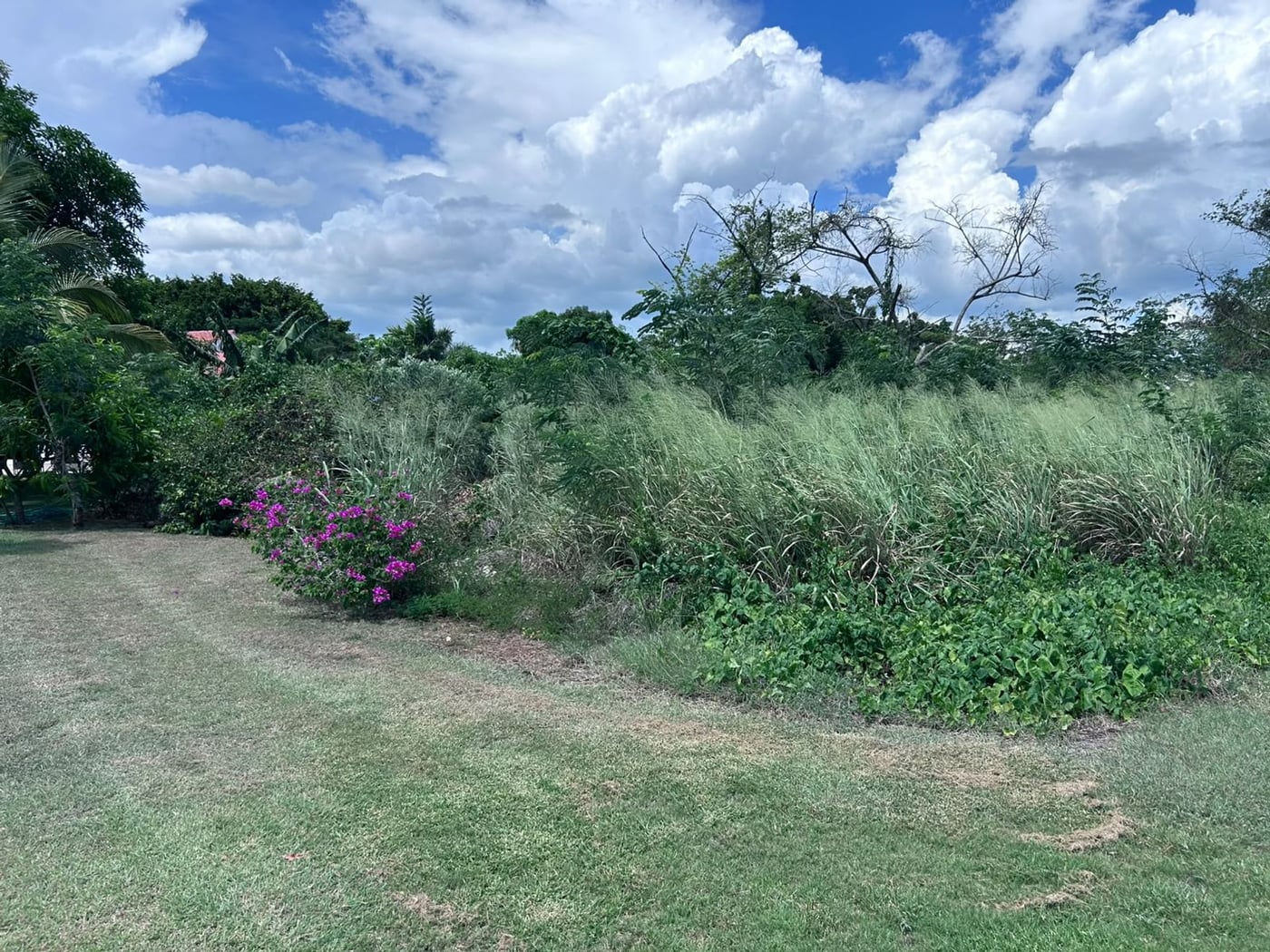 TERRENO EN VENTA en GUAVABERRY COUNTRY CLUB – foto 6