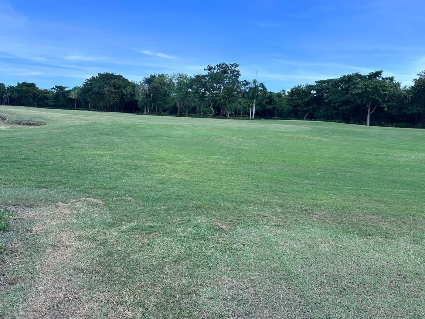 TERRENO EN VENTA en GUAVABERRY COUNTRY CLUB – foto 1