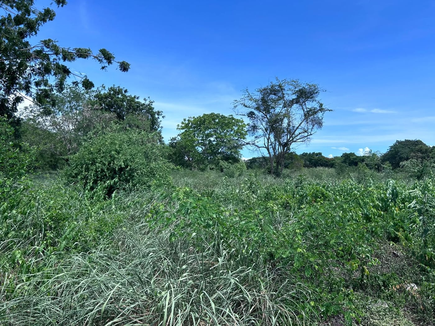 TERRENO EN VENTA en GUAVABERRY COUNTRY CLUB – foto 5