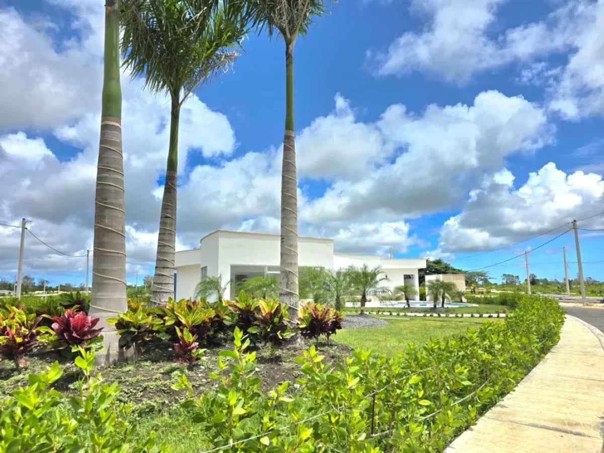 Proyecto de Terreno en Bávaro - Alta Vista – foto 5