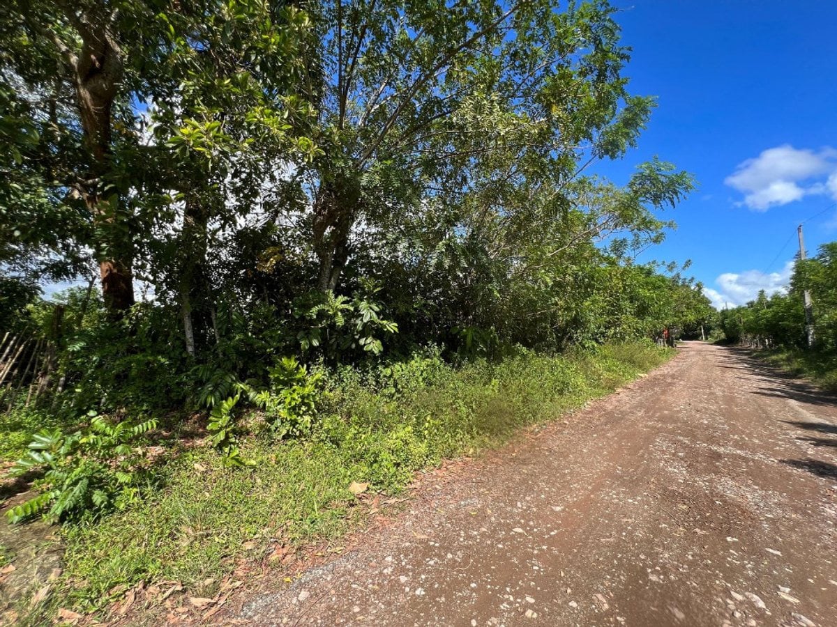 Finca En Dajao, Bayaguana – foto 10