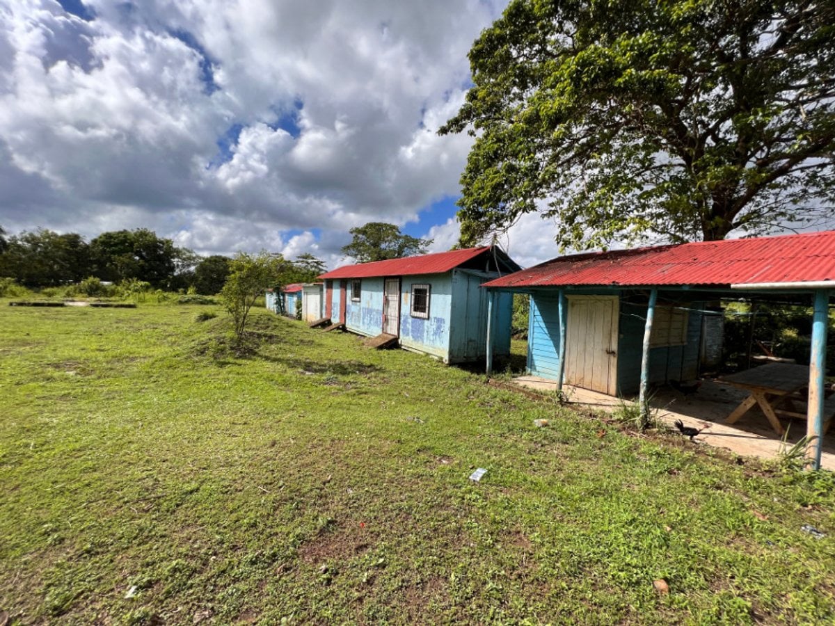 Finca En Dajao, Bayaguana – foto 12